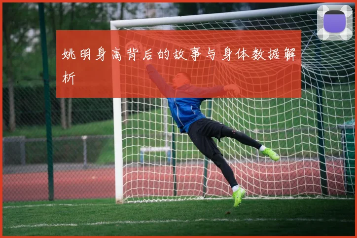 姚明身高背后的故事与身体数据解析