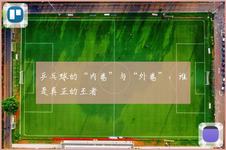 乒乓球的“内卷”与“外卷”,谁是真正的王者