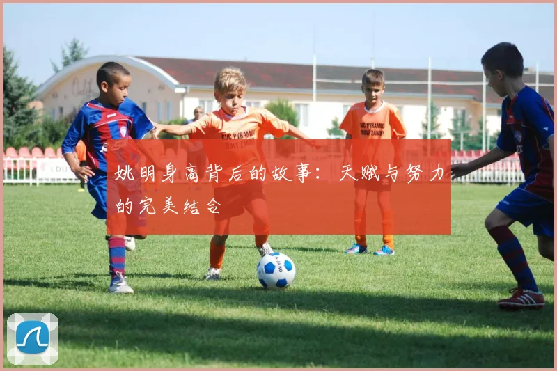 姚明身高背后的故事:天赋与努力的完美结合
