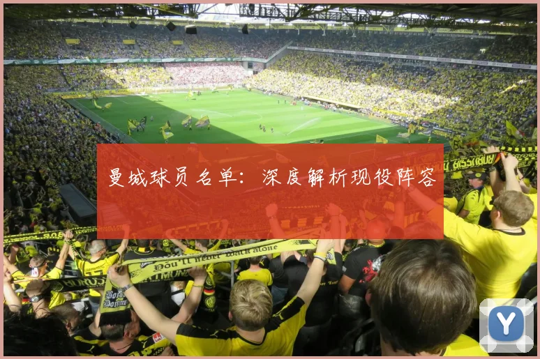 曼城球员名单：深度解析现役阵容